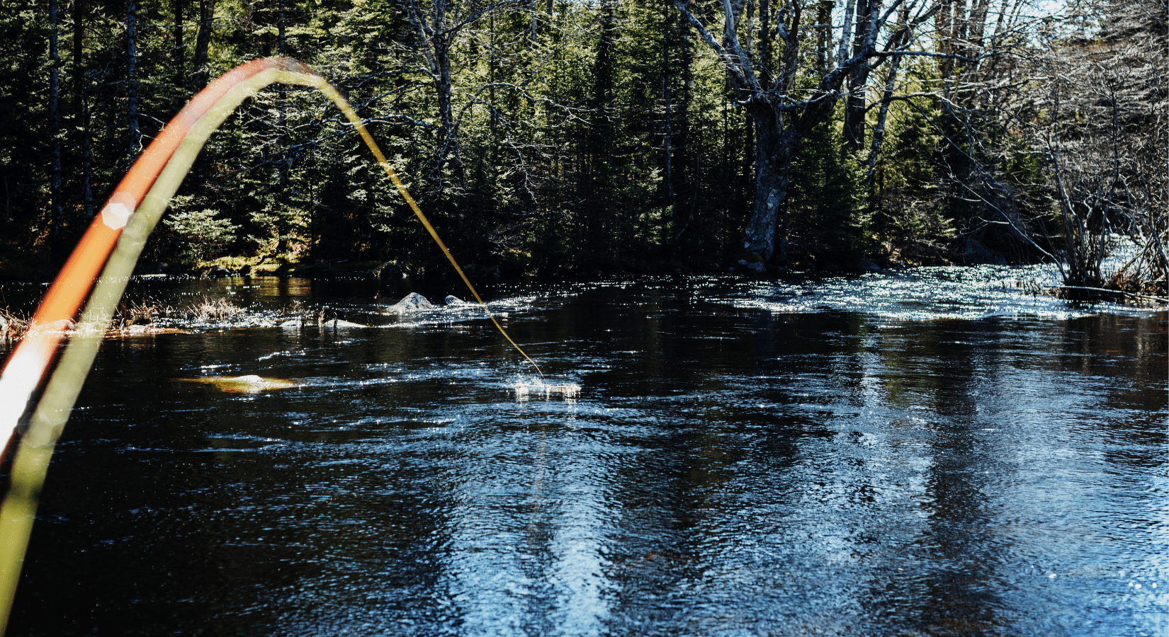Improving Your Cast: Tips for Better Technique - SKB Fishing Gear