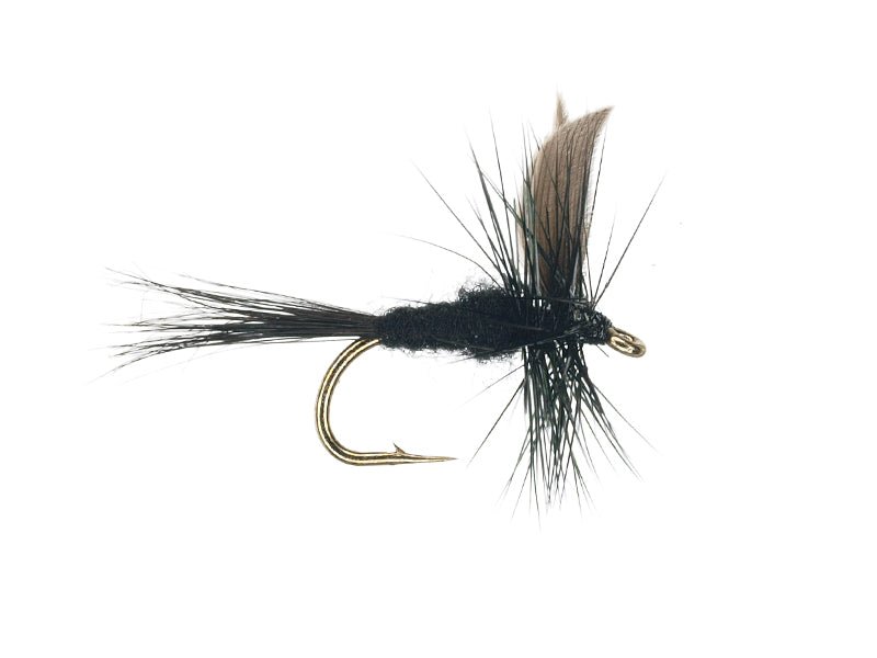 Black Gnat (Dry) - SKB Fishing Gear
