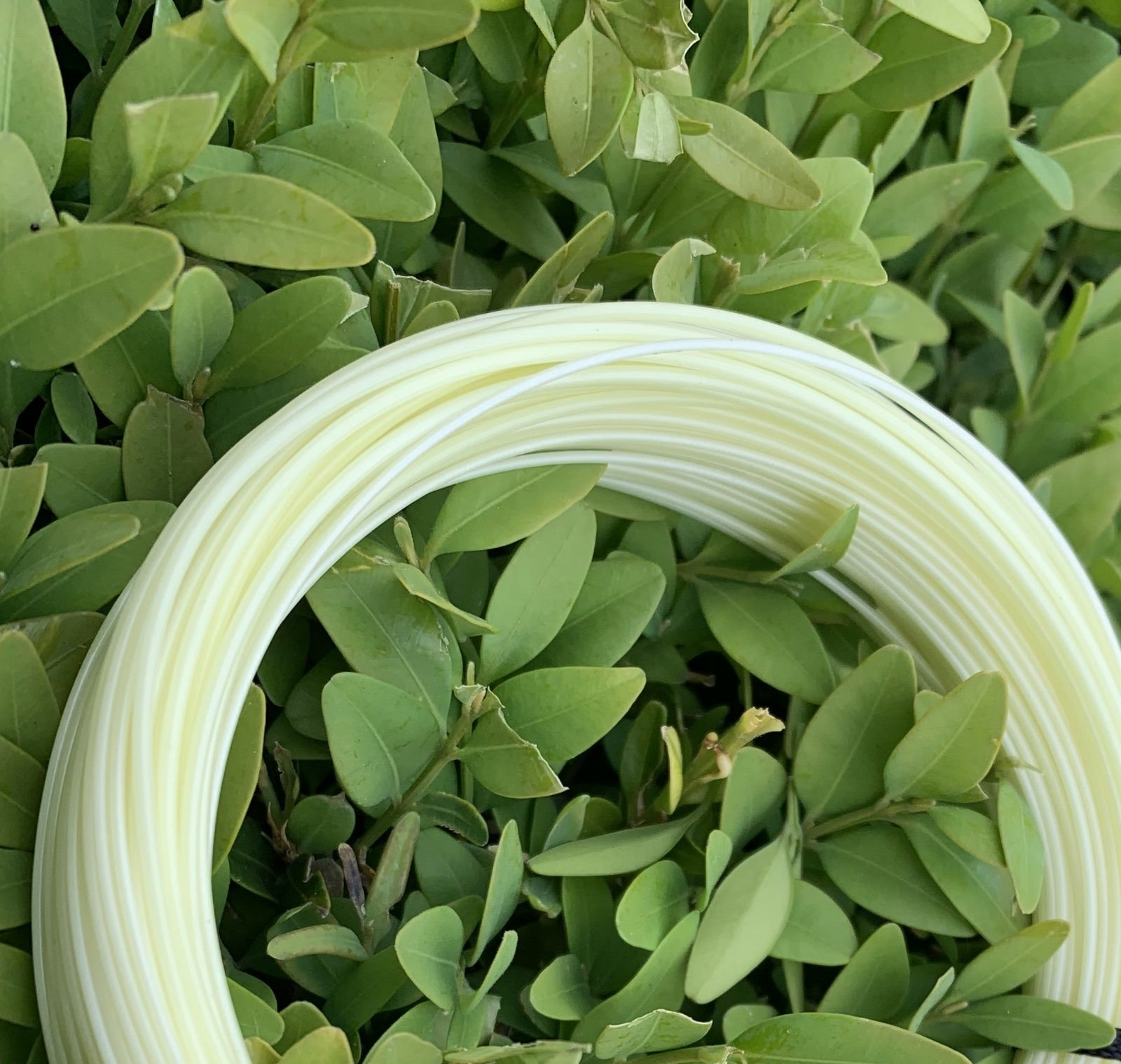 Ultra Intermediate Translucent WF6I - WF8I - SKB Fishing Gear