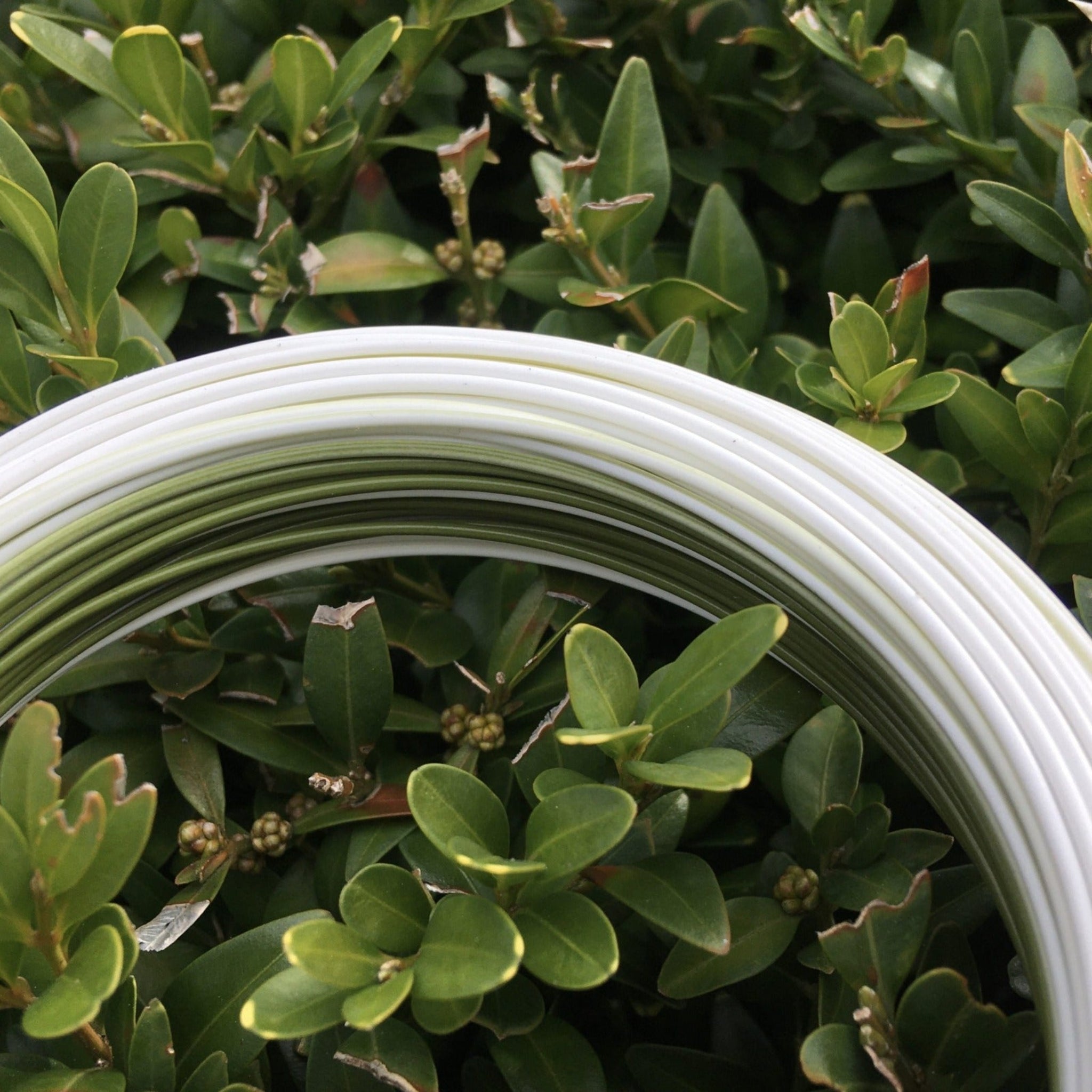 Ultra Max 3' Midge Tip WF6MT - WF8MT - SKB Fishing Gear