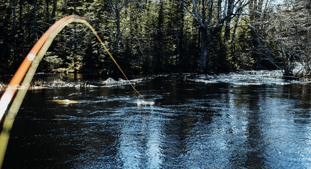 Master Your Fishing Cast: Expert Tips & Techniques | SKB Fishing Gear