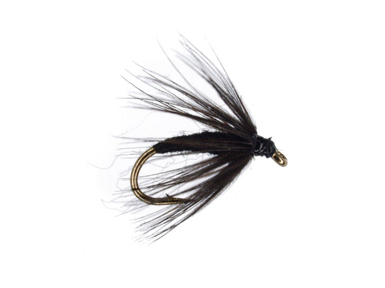 SKB Black Spider fishing fly with lifelike design and durable hooks, ideal for trout fishing.

